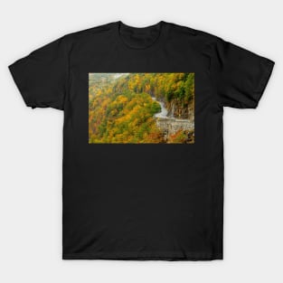 Hawk's Nest in Autumn T-Shirt